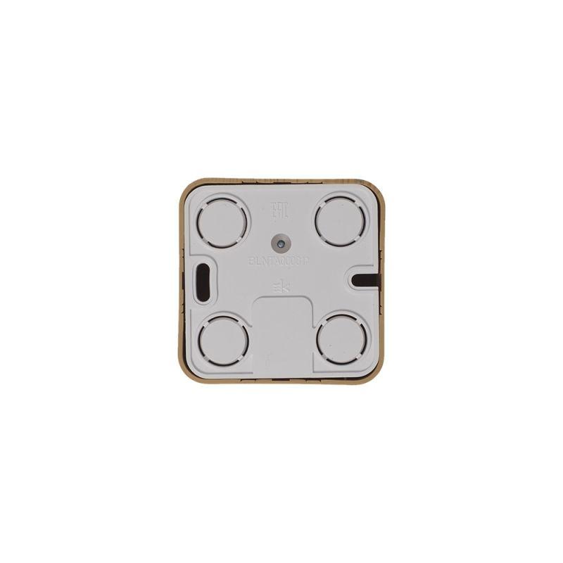 Коннектор TV ОП BLANCA  с изолирующей пластиной ясень SchE BLNTA000015