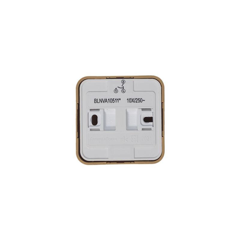 Выключатель 2-кл. ОП Blanca 10А IP20 (сх. 5) 250В с подсветкой с изолир. пластиной ясень SchE BLNVA105115