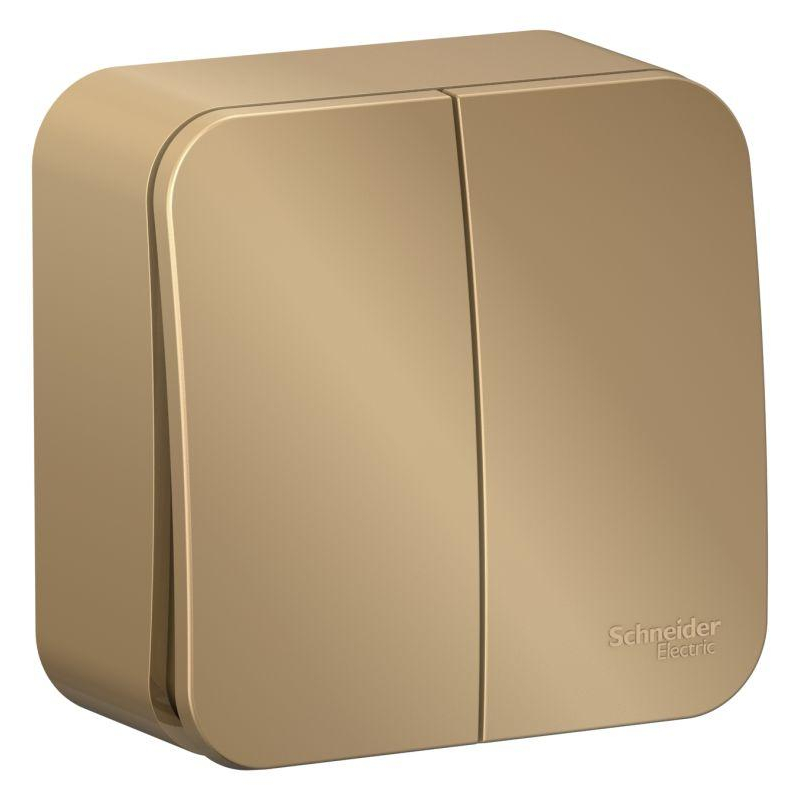 Выключатель 2-кл. ОП Blanca 10А IP20 (сх. 5) 250В с изолир. пластиной титан SchE BLNVA105014