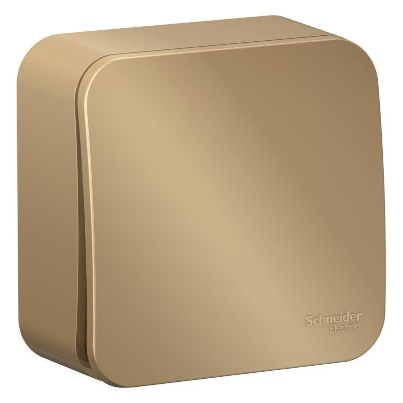 Переключатель 1-кл. ОП Blanca 10А IP20 (сх. 6) 250В с изолир. пластиной титан SchE BLNVA106014