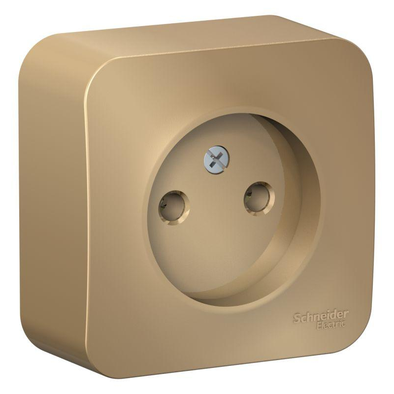 Розетка 1-м ОП Blanca 16А IP20 250В без заземл. без защ. шторок с изолир. пластиной титан SchE BLNRA000114