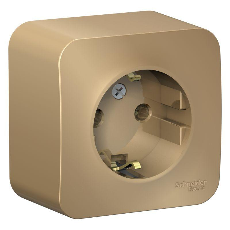 Розетка 1-м ОП Blanca 16А IP20 250В с заземл. без защ. шторок с изолир. пластиной титан SchE BLNRA010114