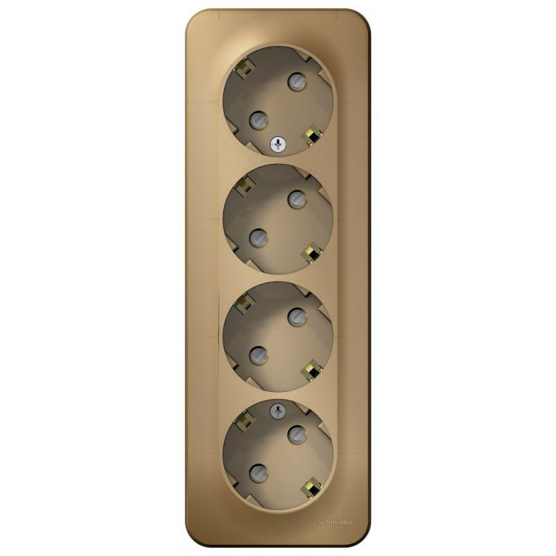 Розетка 4-м ОП Blanca 16А IP20 250В с заземл. защ. шторки с изолир. пластиной титан SchE BLNRA011414