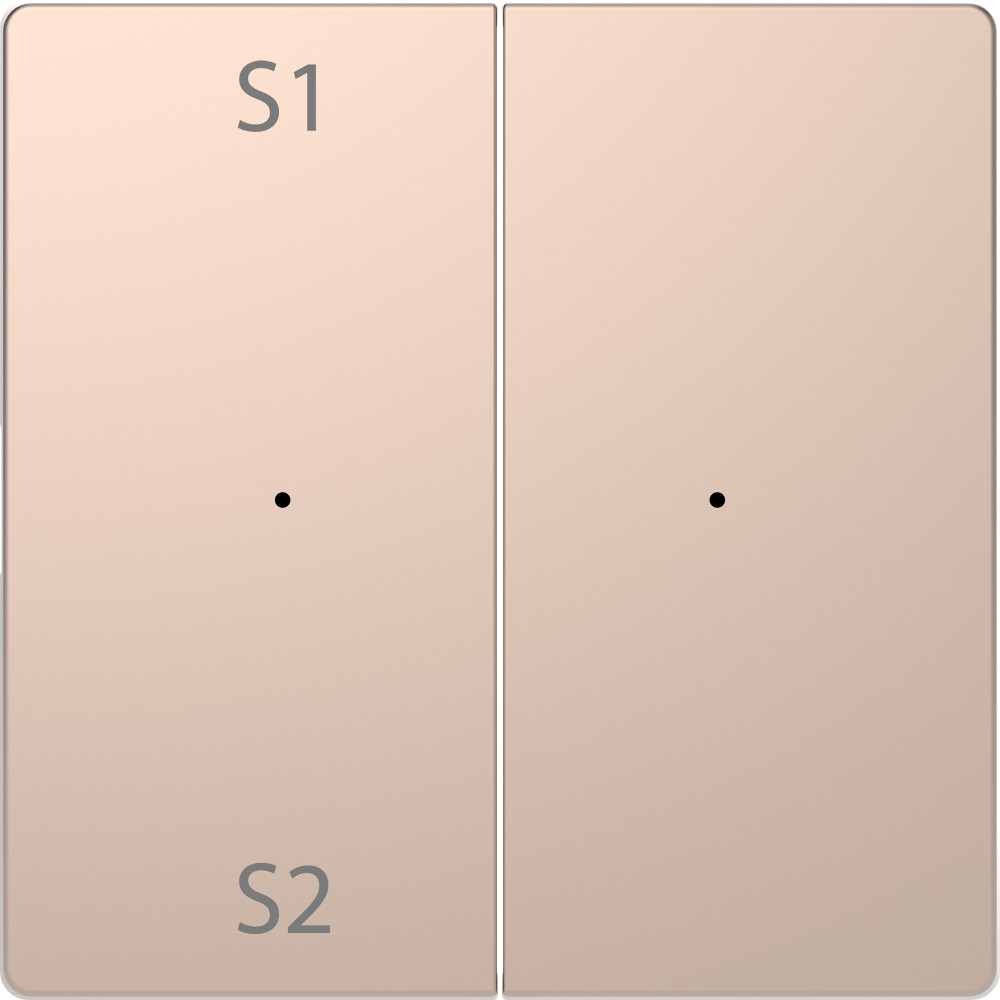 Клавиша D-Life PlusLink 2-ная с S1/S2 пусто шампань SD (MTN5226-6051)