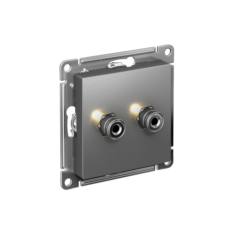 Аудиорозетка 2-м AtlasDesign сталь SchE ATN000987