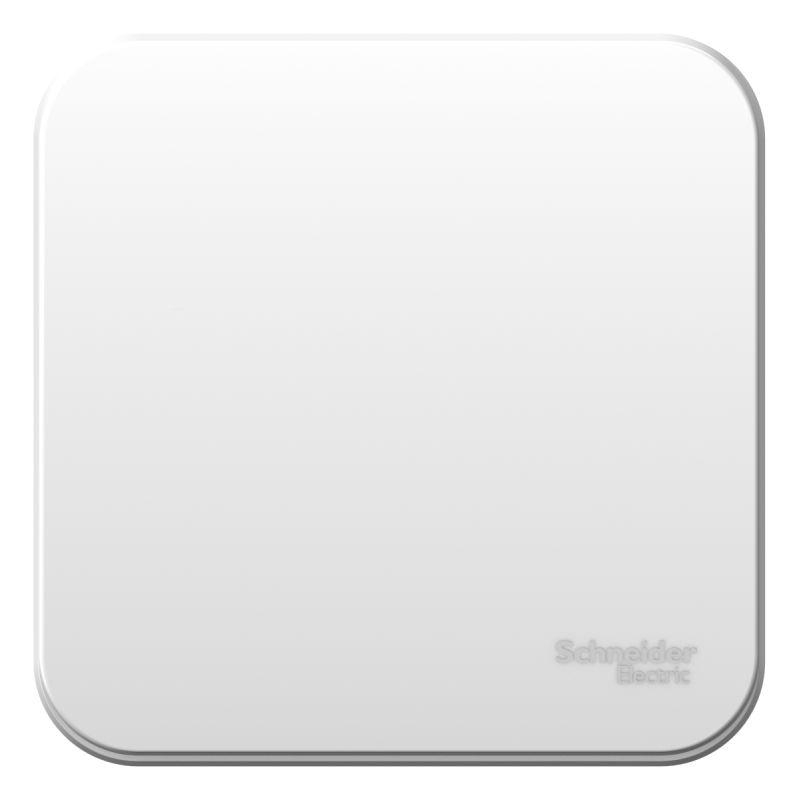 Выключатель 1-кл. ОП Blanca 6А IP20 (сх. 1) 250В с металлич. пластиной бел. SchE BLNVA061021