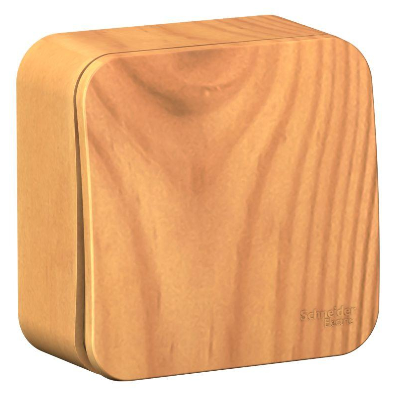 Выключатель 1-кл. ОП Blanca 10А IP20 (сх. 1) с самовозвратом с изолир. пластиной ясень SchE BLNCA101015