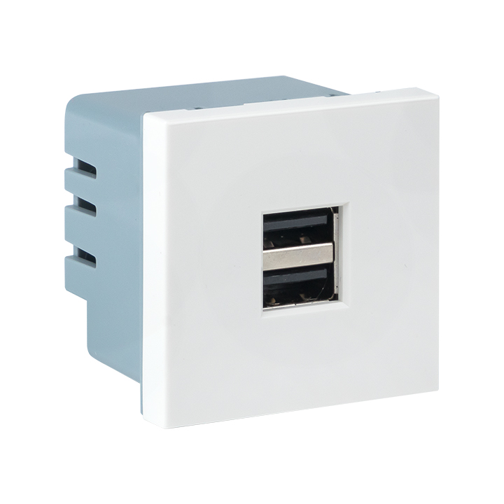 Розетка USB, сила тока 2.1 А (2 гнезда) без индикатора (E2MR2-20USB-10)
