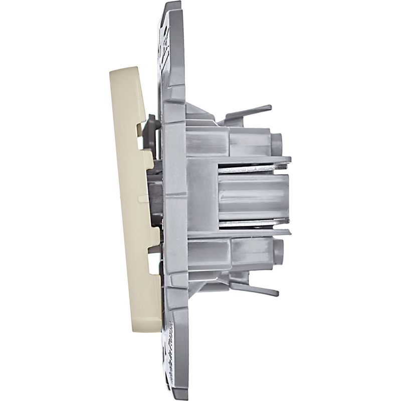 Механизм выключателя 1-кл. Inspiria 10А IP20 250В 10AX сл. кость Leg 673601