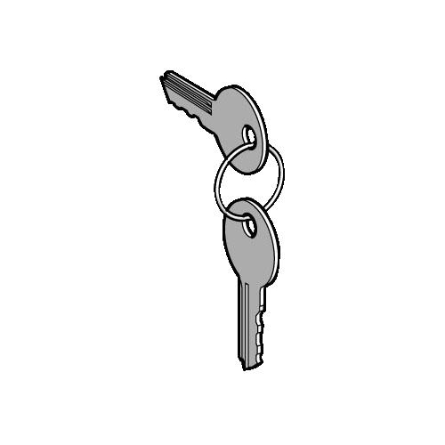 Комплект ключей N/458A SchE ZBG458A